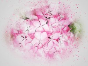 flower, pink, art
